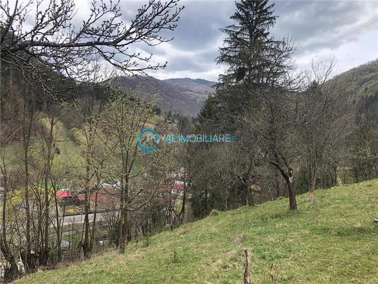 Royal Imobiliare-Vanzare Teren Zona Voineasa - 5