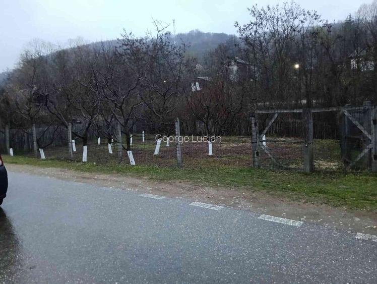 Casă de vânzare -locul unde "acasă"prinde contur  - 9