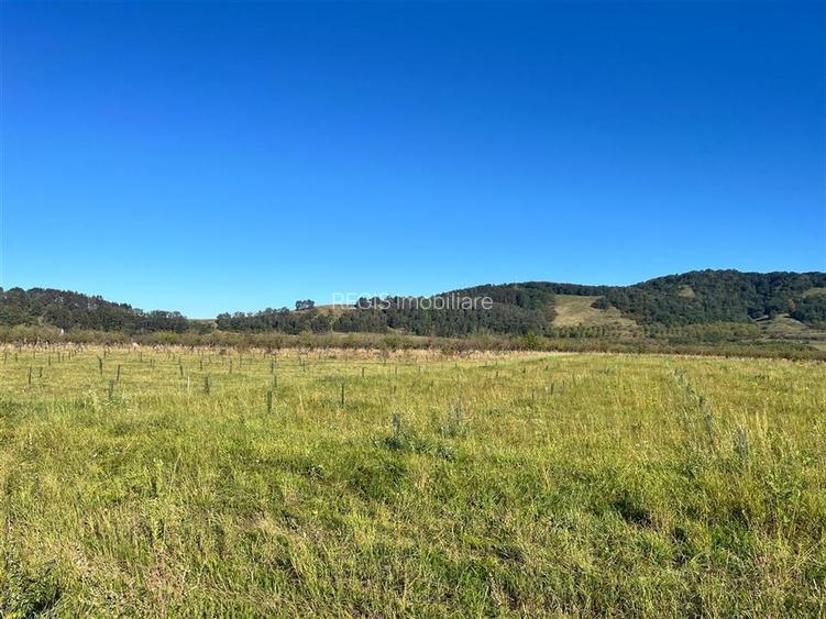 TEREN INTRAVILAN, HARMAN - 2