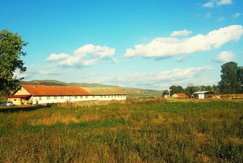 Vand teren  500 m p , 1000 mp  , 17500 mp intravilan , negociabil. - 2