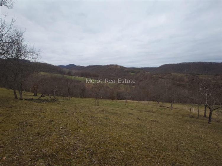 Teren intravilan si extravilan Luncoiu de Jos - 17