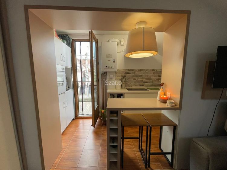 Apartament cu 1 camera la casa - 7