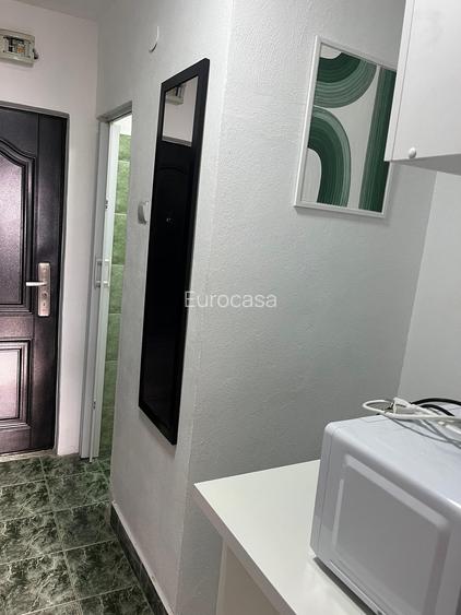 Garsoniera vis-a-vis de Abator, cu vedere spre parc - 5