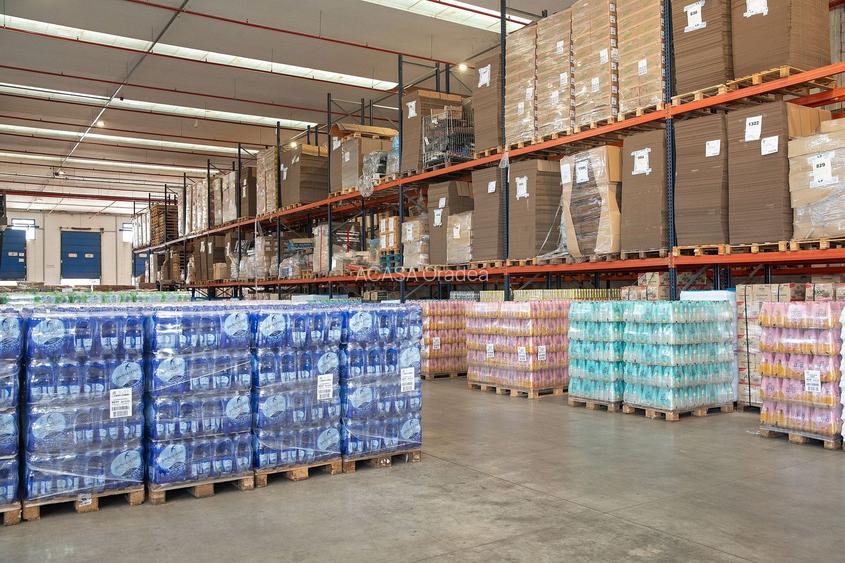 Spațiu logistic flexibil, 500-1 500 mp. Comision 0%. - 8