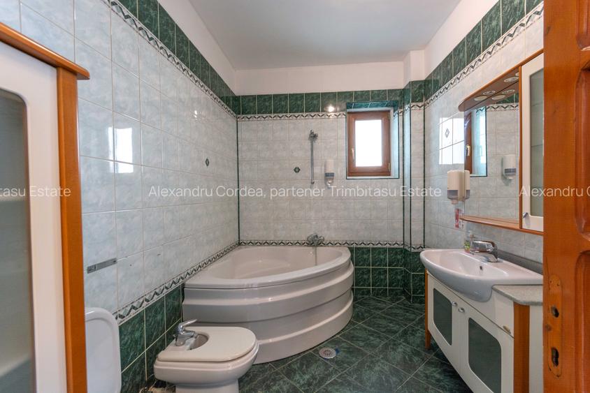 Aviatiei | Smaranda Braescu | Vila reprezentativa de inchiriat - 24