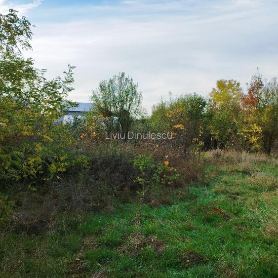 Teren de vanzare in comuna Sperieteni - 9