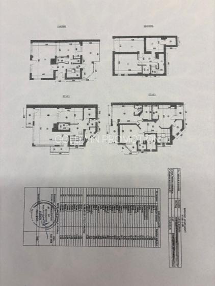 Vila la parcul Herastrau - 3