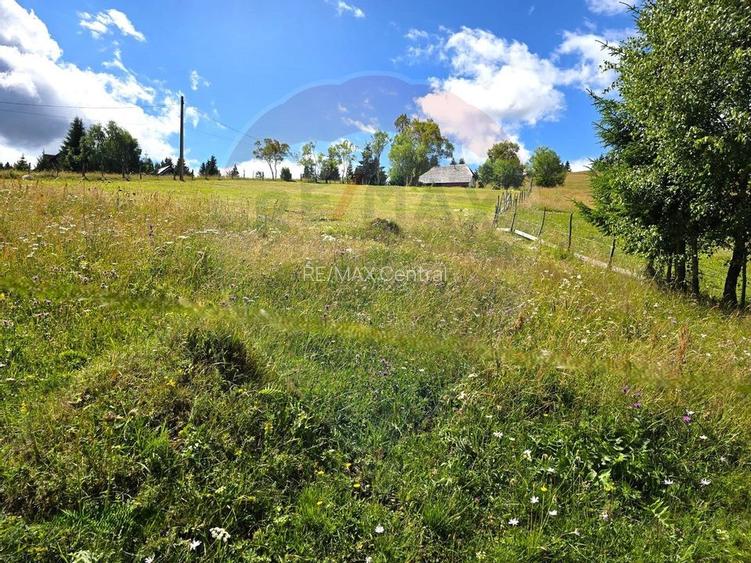 Teren de vis în Fundata 1934mp sau 3868mp, la înălțimea sufletului tău - 7