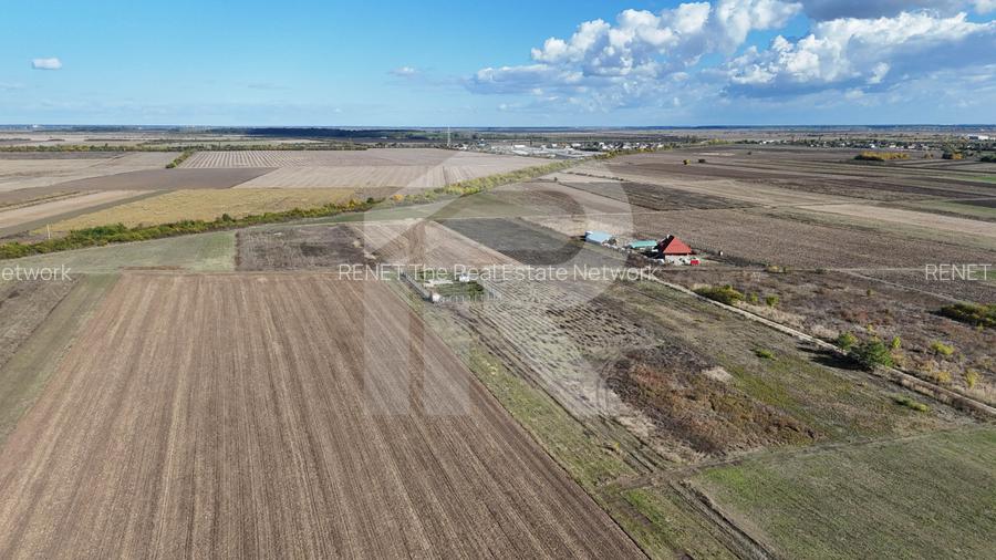 Refugiu la marginea padurii — 1000 mp de liniste in Cocani. - 7