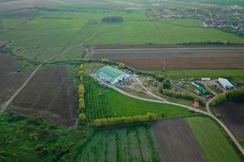 Hala industriala de vanzare in Biharia, Bihor, Romania  - 7