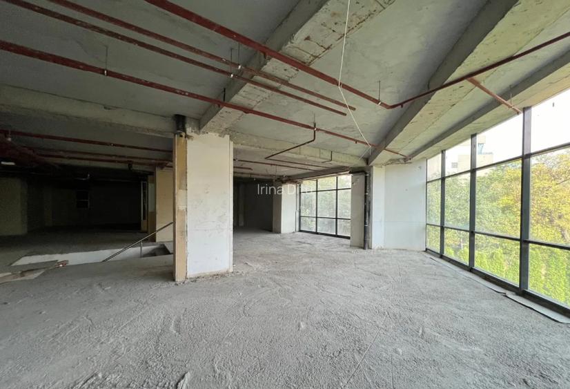 Spatiu Comercial la Mezan in Vad Stradal, Parc IOR, 10euro/mp - 4