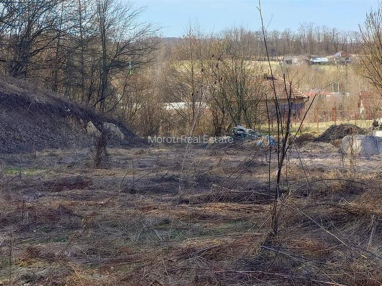 Teren intravilan la liziera padurii - 12