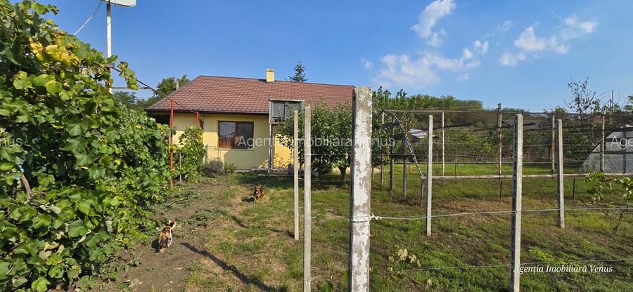 Casa caramida in Costesti - 2