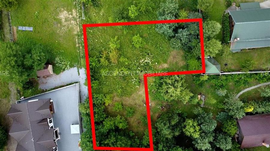 FILM!1.400 mp teren turistic, Sovata: 800m de Lacul Ursu si 300 m de Lacul Negru - 4