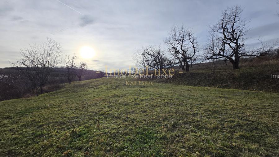 Teren extravilan langa lac, 8500mp, priveliste, acces, utilitati, zona Baciu - 5