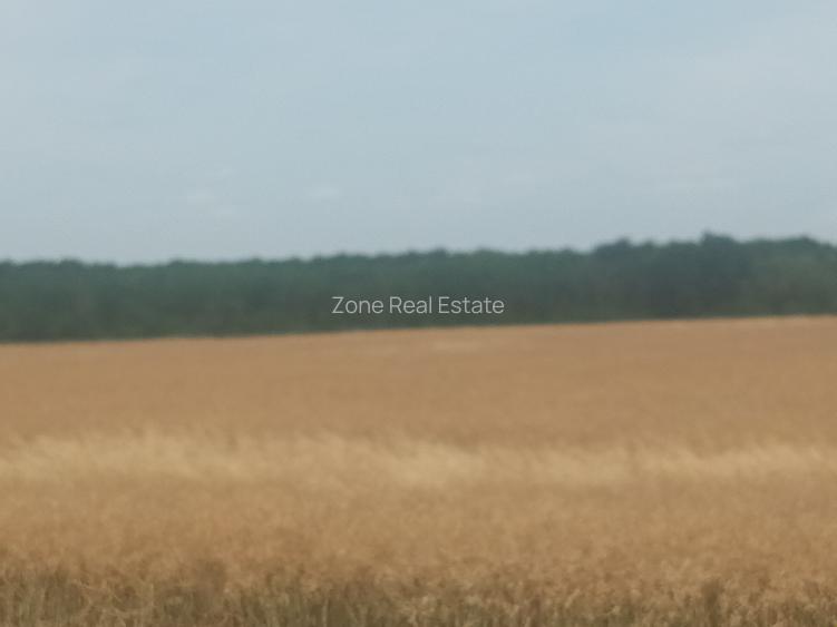 Teren Vanzare Intravilan Branesti - Investitie Zona Industriala Vis a Vis Makita - 25