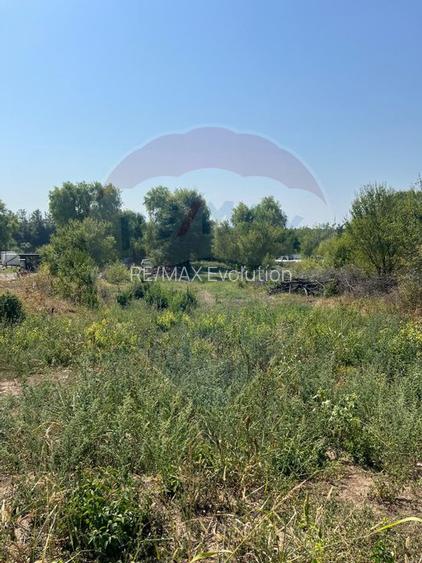 Teren de vanzare / 2,500 mp pe Malul Lacului Tancabesti /Ilfov - 2