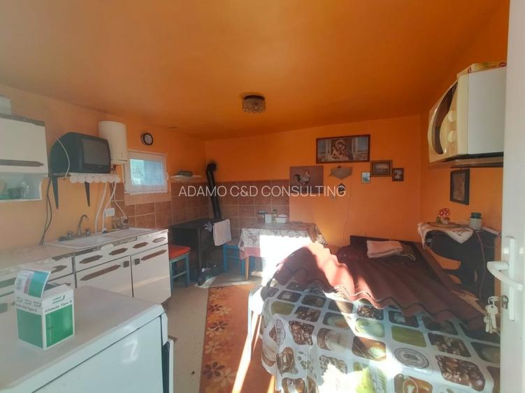 Casa de vanzare/schimb in Panticeu cu gradina mare - 14