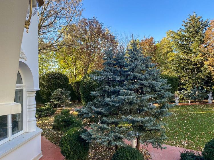 PROPRIETATE CU ENERGIE PURA |  Sanctuarul Eleganței și Rafinamentului - 25