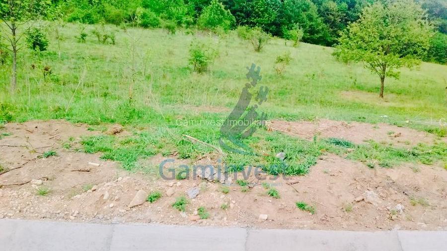 Teren de vanzare, la iesirea din Baile Felix, Bihor - 2