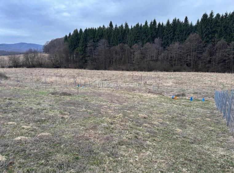Teren de vânzare 1030m2, intravilan - Jud. Brașov - 9