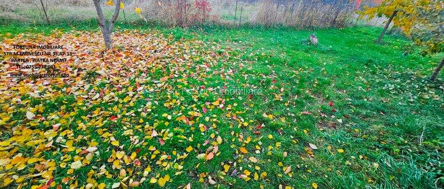 Casa individuala,cu 2 beciuri, anexe si 920 mp teren,la 10 minute de P.Neamt - 14