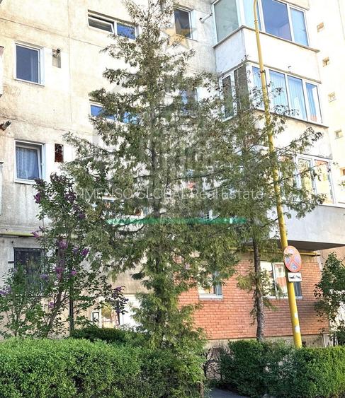 Apartament 4 camere decomandat - Calea Bucuresti, Centru Civic - 23