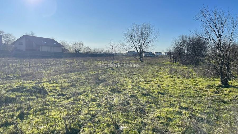 Gulia 1000mp teren intravilan, toate utilitatile - 6