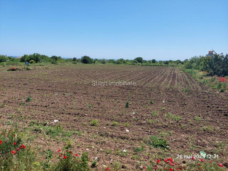 Teren intravilan 1244 mp/ Vama Veche - 3