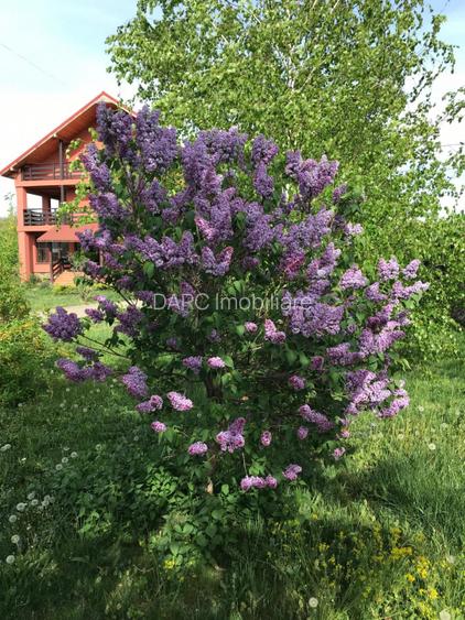 Vila spatioasa, teren generos - Crasna, Gorj - 8