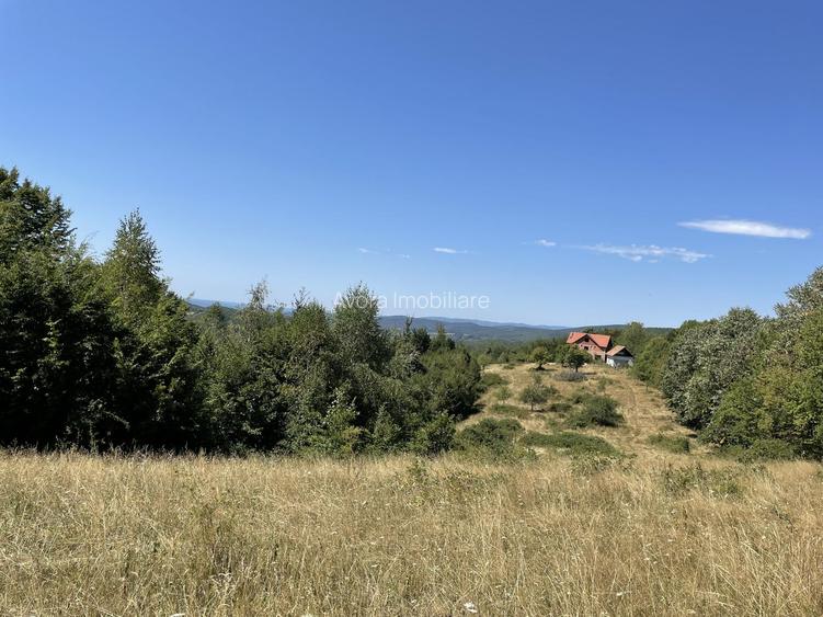 Teren Extravilan în mijlocul naturii. - 10