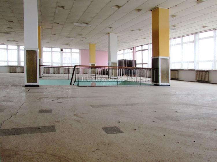 Diverse activitati comerciale si office - 6