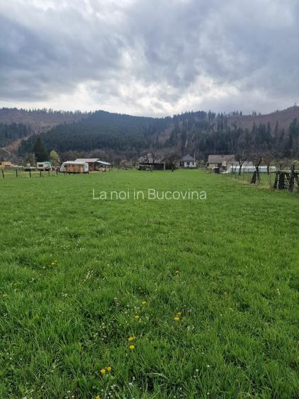 Vindem teren in Vatra Moldovitei - Bucovina - 7