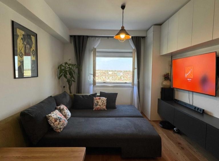 Targu Cucu-Independentei-1 Camera-Renovat-ideal investitie - 5