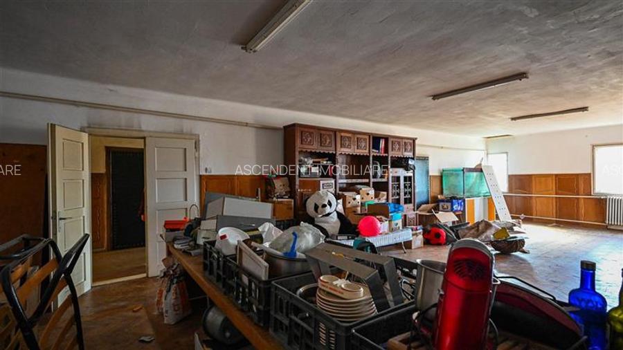 Ansamblu agrozootehnic cu renume,dotat +valoare exceptionala+potential versatil, - 46