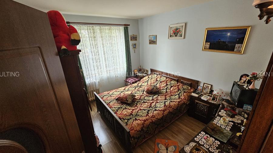 Titan-Nicolae Grigorescu - 7