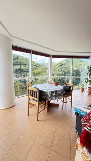 FIRIZA - VILA+ casa batraneasca si 29ari teren, panorama superba! - 7