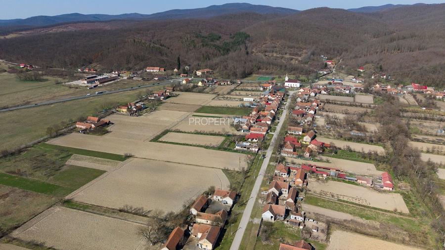 Loc de casă în Odvoș - Conop 3000mp - 28