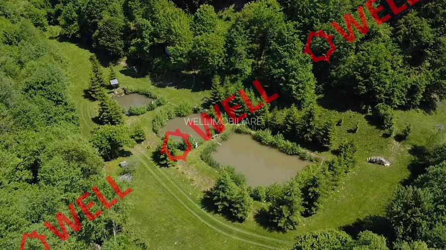 Cabana deosebită de vânzare între Valea Zălanului și Malnaș! - 5