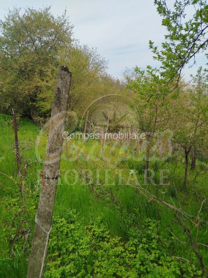 Teren pentru dezvoltare zona Tudor Neculai - potențial dezvoltare P+4 - 3