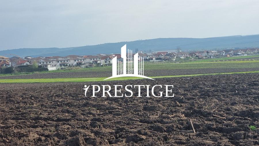 TEREN DE VÂNZARE ȘURA MICĂ 10.000 MP | 2 FRONTURI STRADALE, INVESTIȚIE - 12