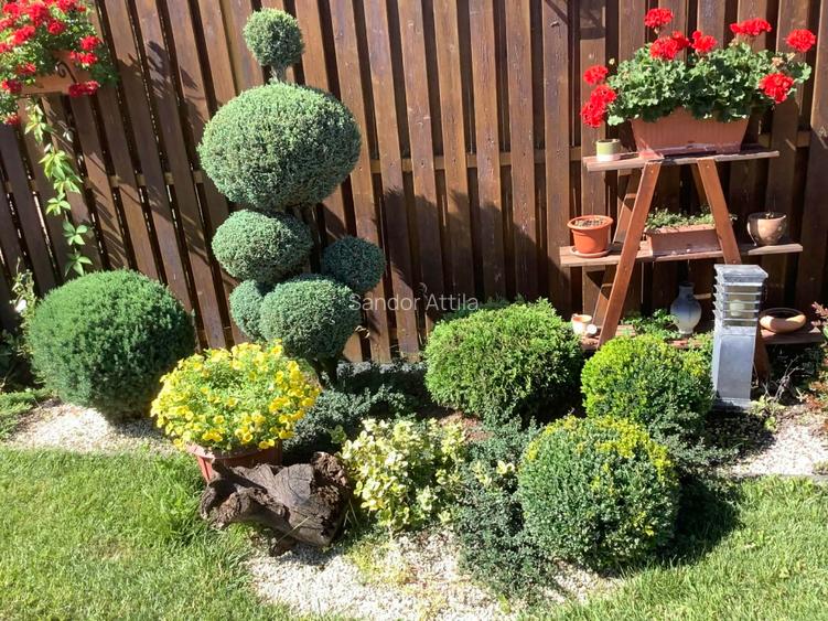 Proprietate exclusivista cu design rafinat si facilitati premium—Sfantu Gheorghe - 2