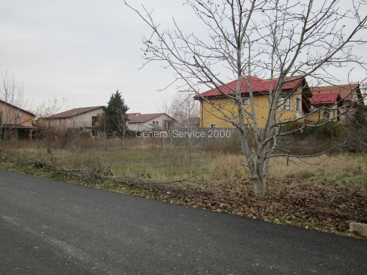 Drumul Targului-Stelelor - 9