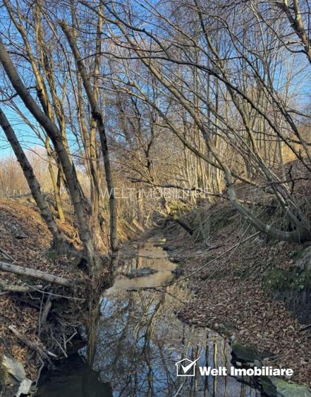 Teren spectaculos, intravilan,  Feleacu, zona linistita, padure + parau. - 7