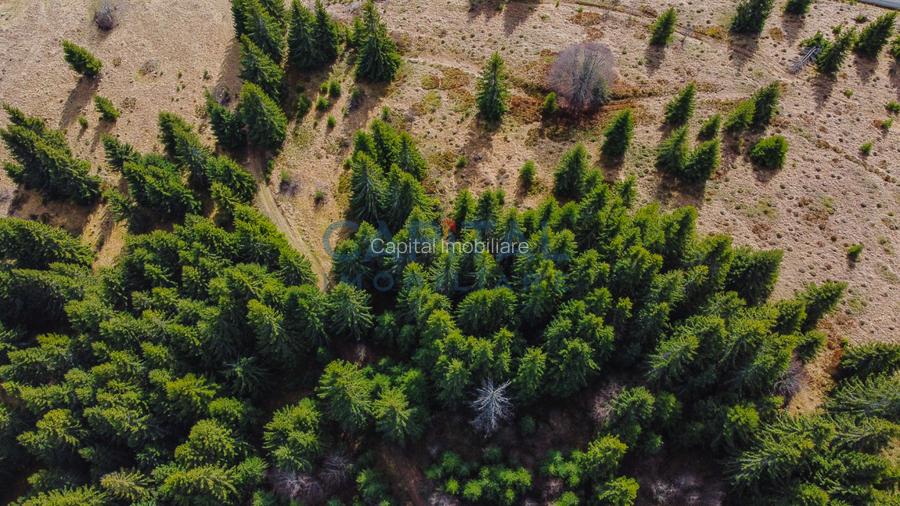 0% COMISION! Teren constructie cabana,  7600 MP, in Dealu Botii, Belis - 4