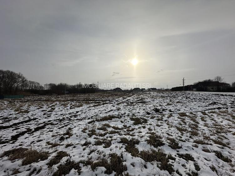 Teren intravilan | 61 ari | Parcelabil | Radauti - 8