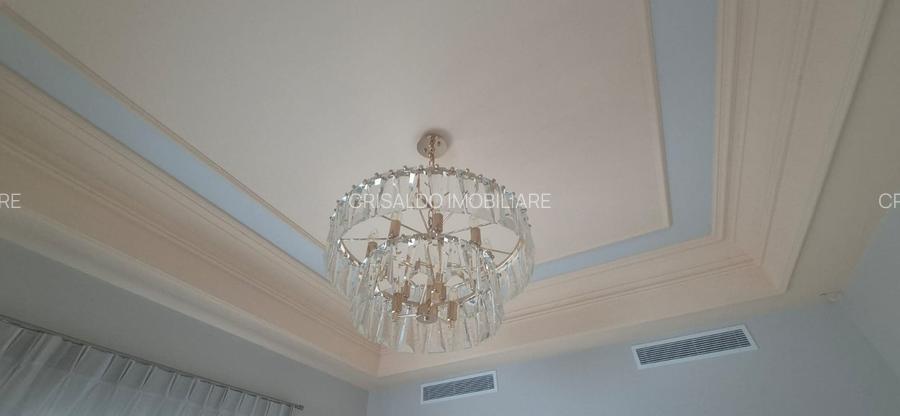 Proprietate deosebita Iancu Nicolae - 16