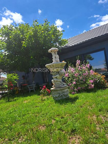 2 case + spațiu comercial | 6 dormitoare - băi proprii | 685 MP Teren - 2