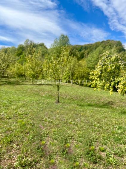 Teren 5.600 mp – Liniște, Natură și Verdeață | 10€/mp - Comision 0% - 6