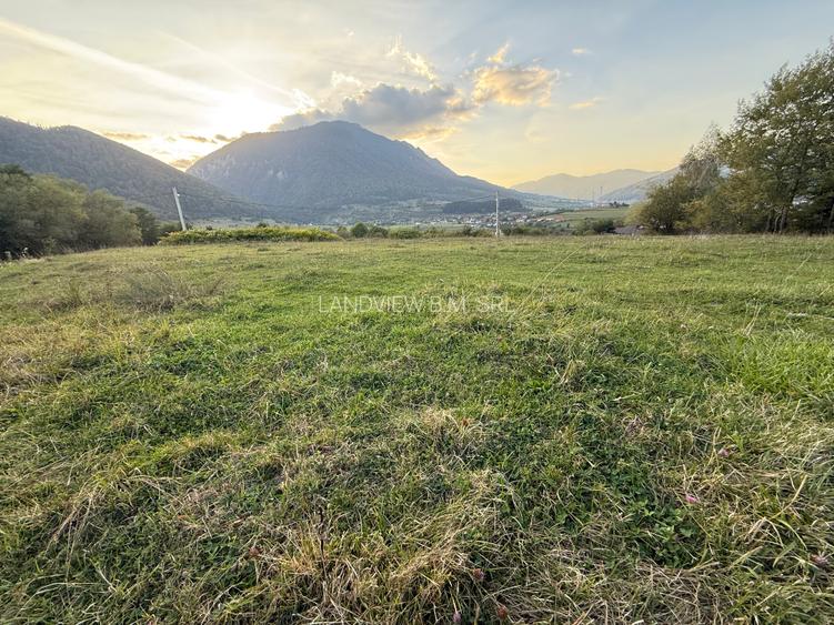 Teren intravilan 500 sau 1000 mp Bran-Tohanita la dum asfaltat - 16